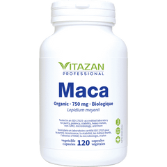 Maca