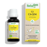 G3 CA-GEM