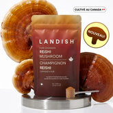 Reishi