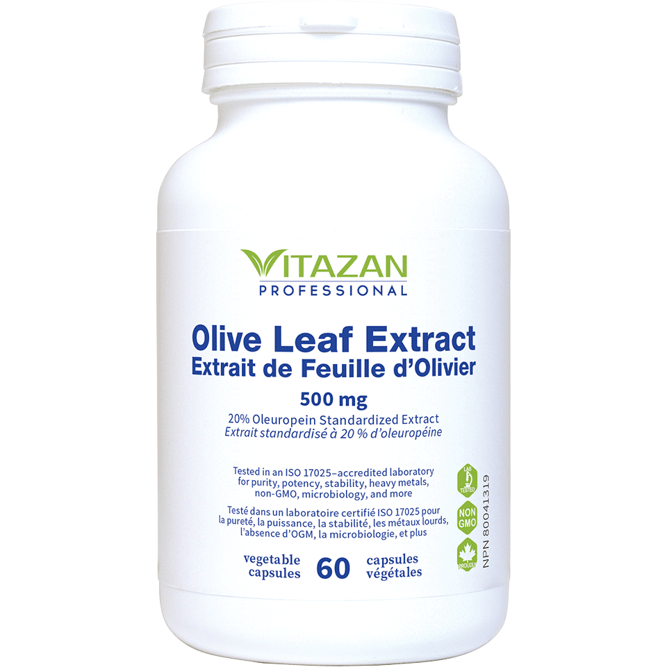 Olive Leaf Extract (500 mg · 20% Oleuropein Standardized Extract)