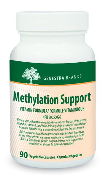 Methylation Support