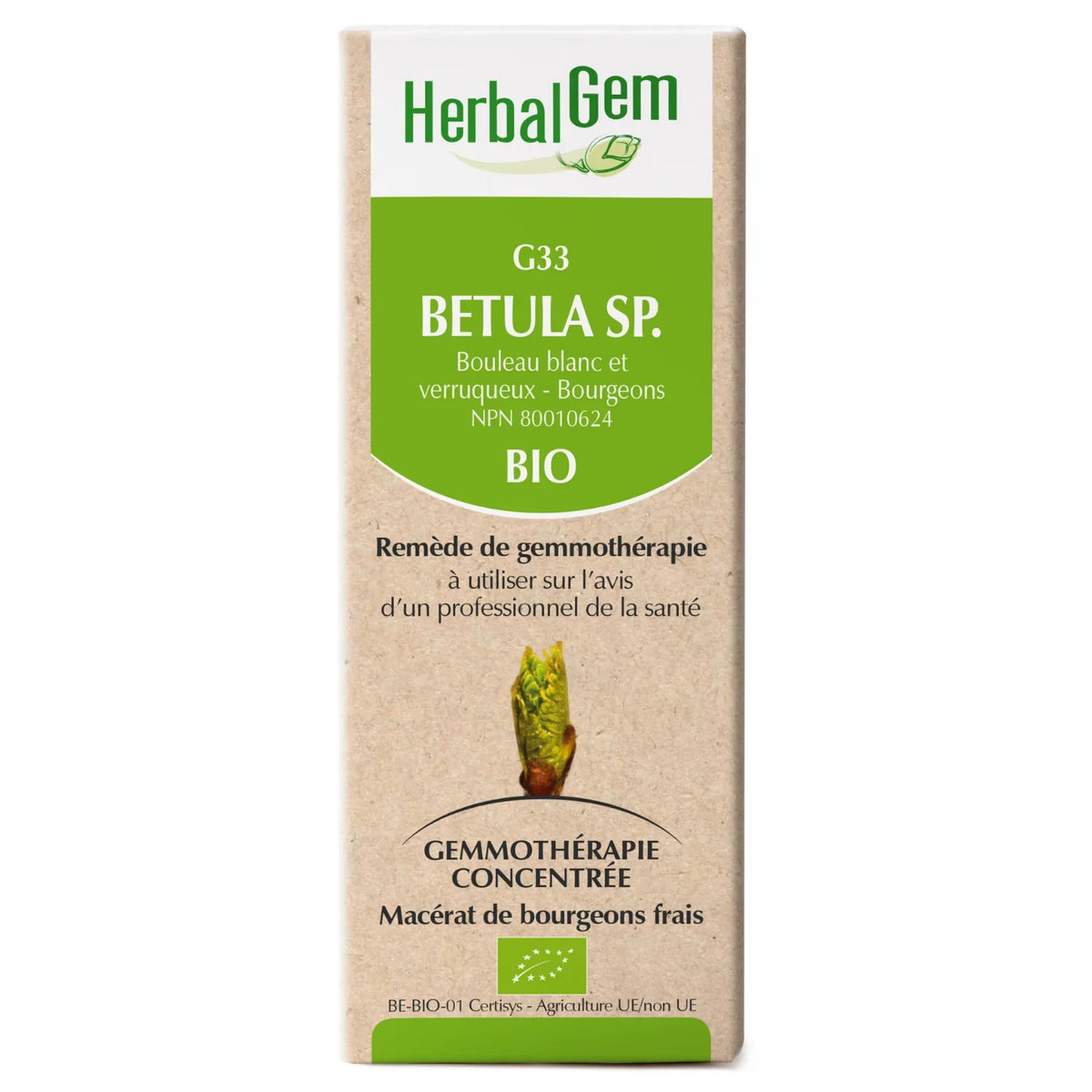 G33 Betula sp. (alba & verrucosa)
