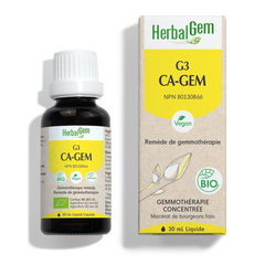 G3 CA-GEM