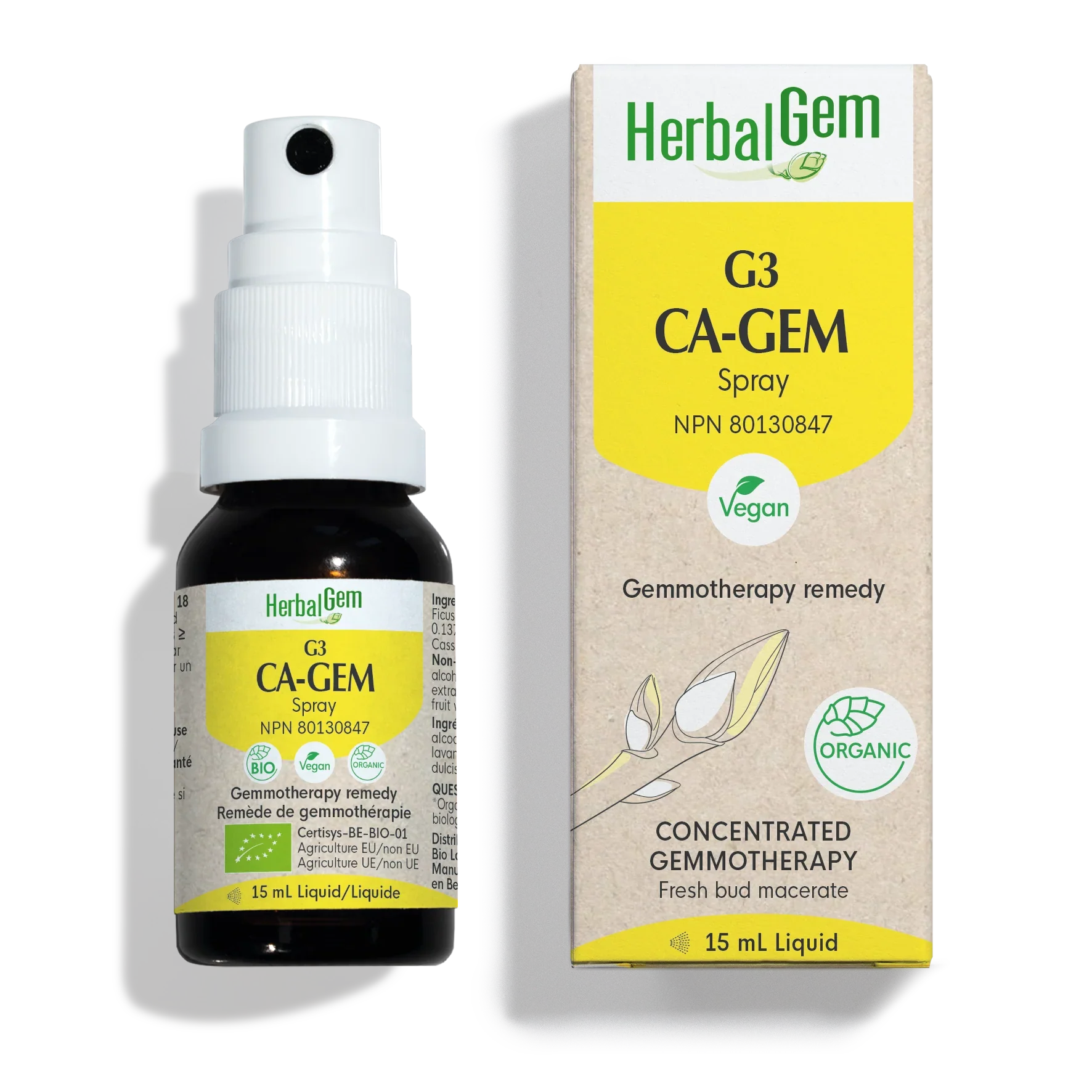 G3 CA-GEM
