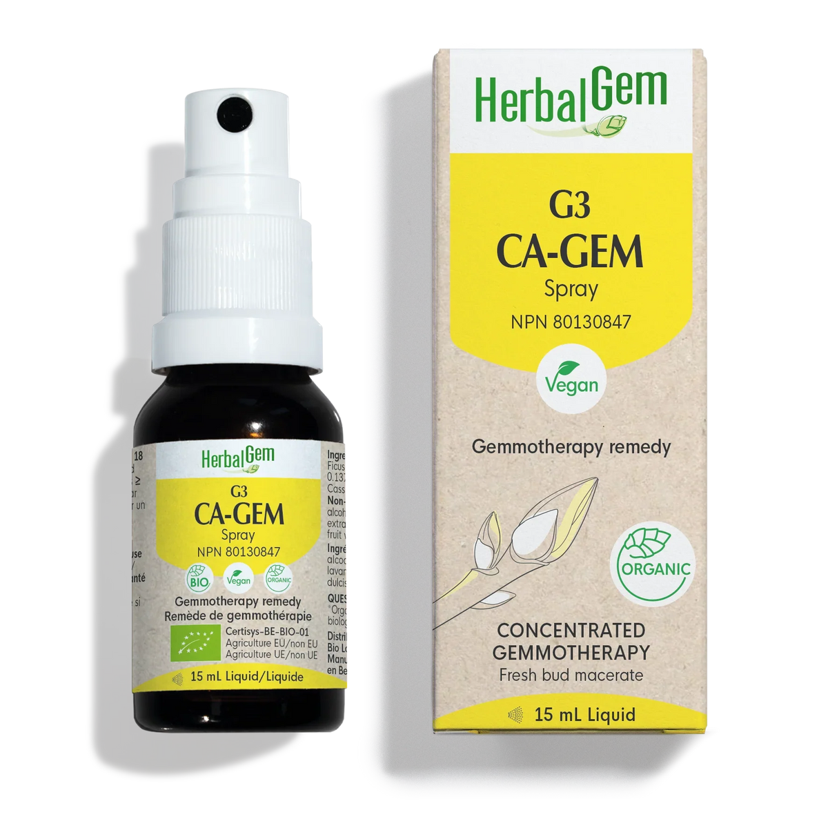 G3 CA-GEM