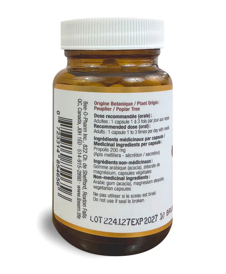 Capsules de propolis brune de peuplier