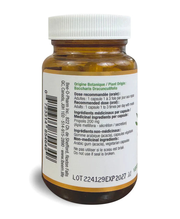 Capsules de Propolis verte de baccharis