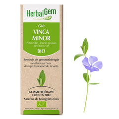 G89 - Vinca minor - pervenche mineure