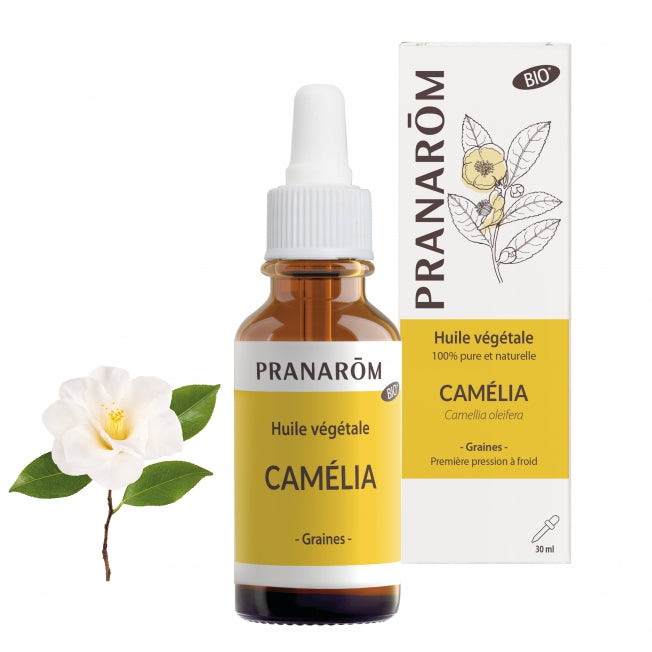 Camelia