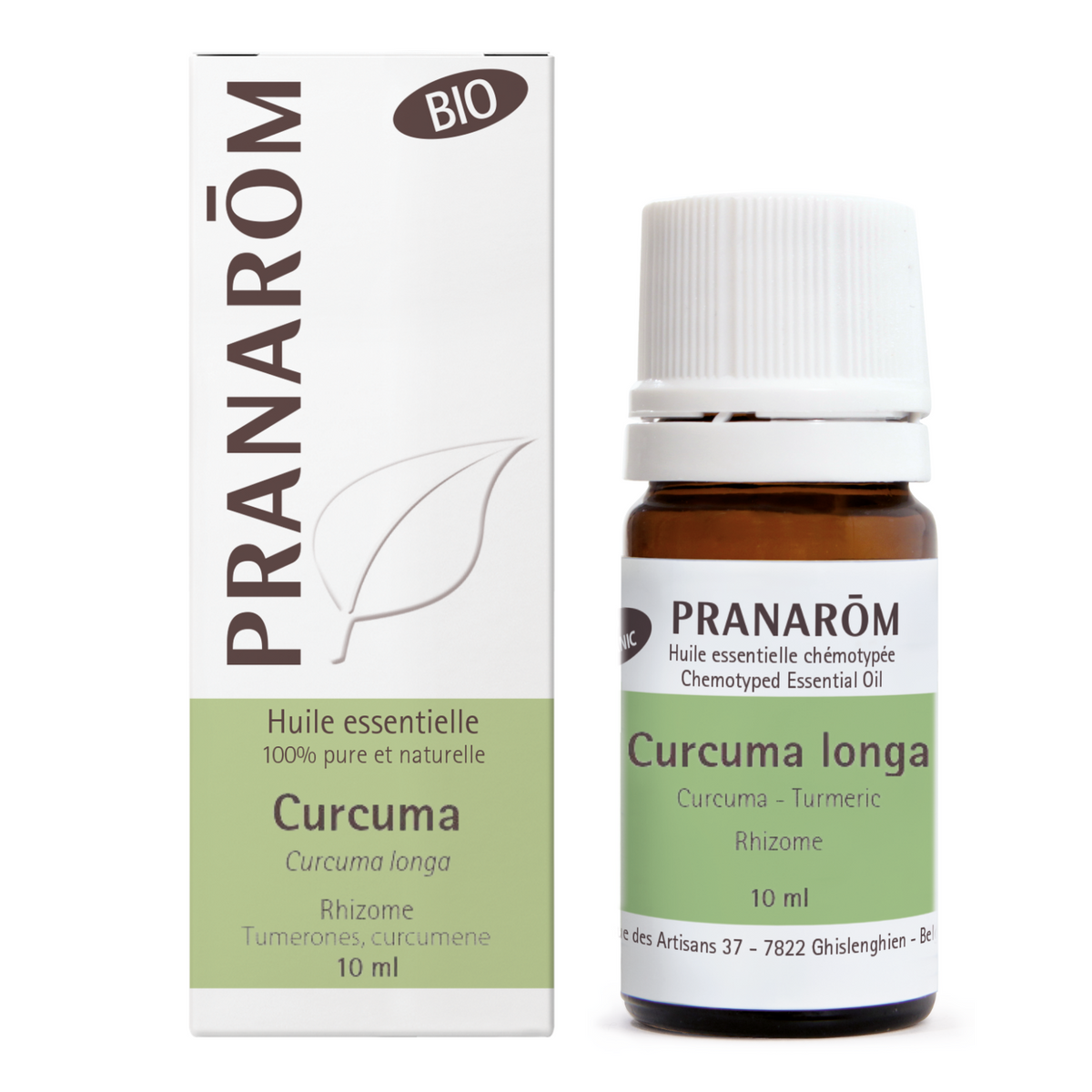 Curcuma - rhizome