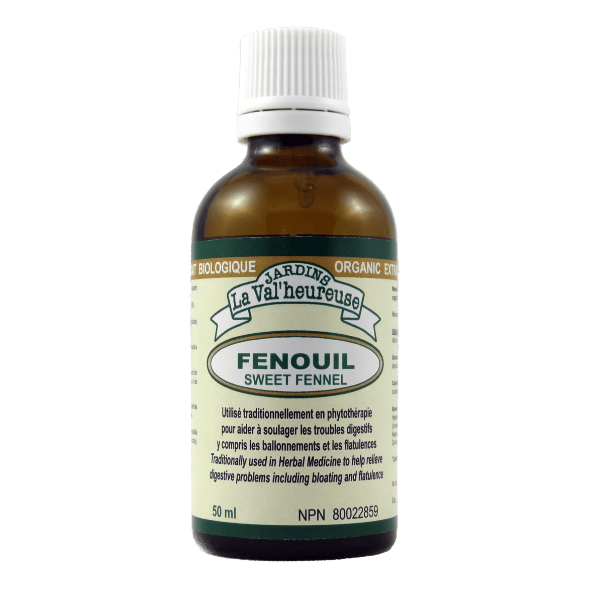 Fenouil