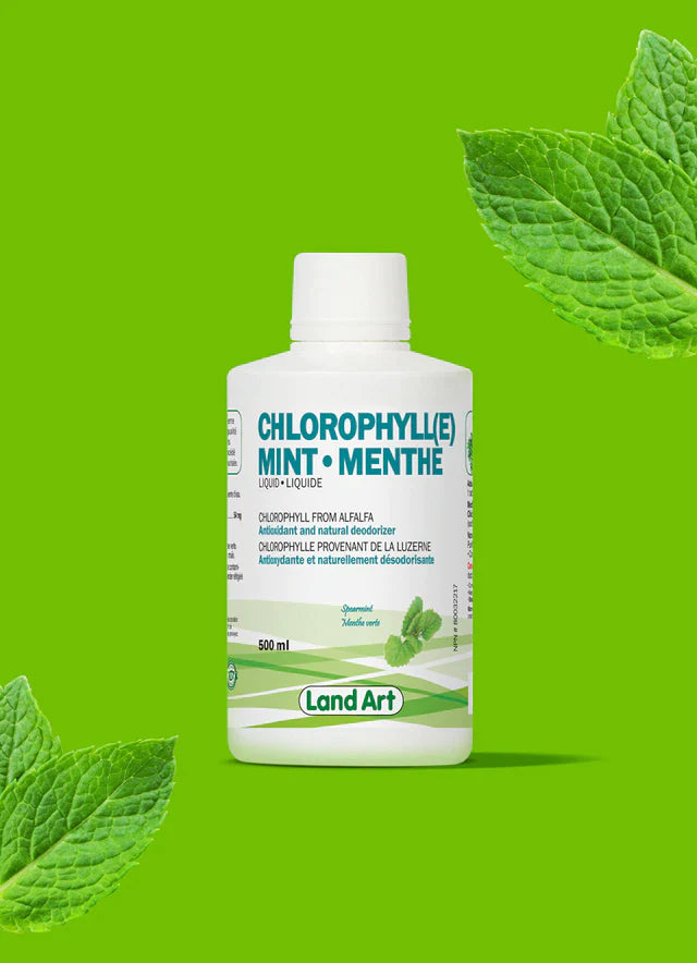 Chlorophylle Liquide